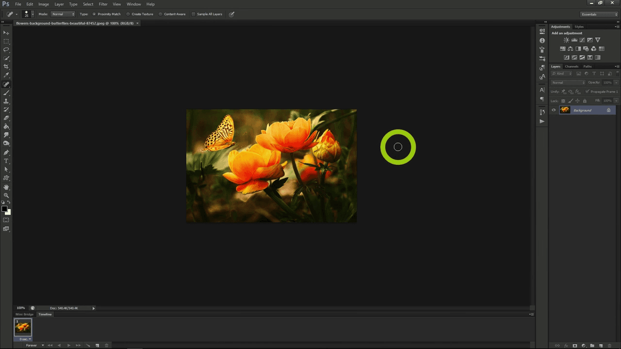 Video poster preview